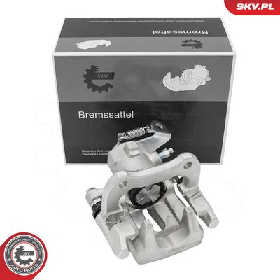 Jarrusatula ESEN SKV 78SKV753 – RENAULT