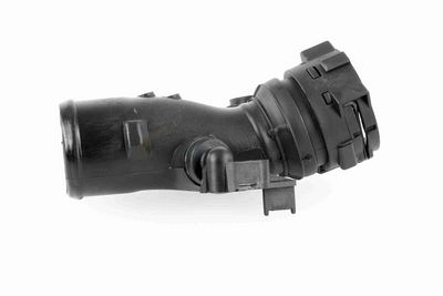 FURTUN EAR SUPRAALIMENTARE ACKOJA A380296 5