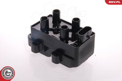 Ignition Coil 03SKV032