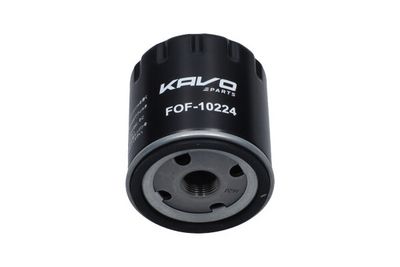 Kavo Parts Alyvos filtras