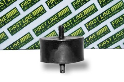 окачване, двигател FIRST LINE FEM3000