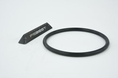 ETANșARE CARCASă CLAPETă FEBEST RINGAH010 18