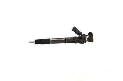 INJECTOR REMANTE 002003001324R 8