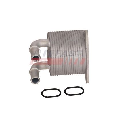 RADIATOR ULEI CUTIE VITEZE FAST FT04715 2