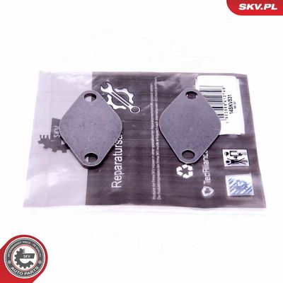 Remonto komplektas, AGR vožtuvas