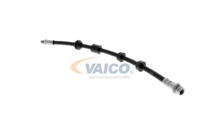 FURTUN FRANA VAICO V950481 7