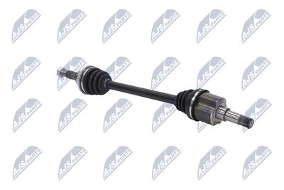 PLANETARA NTY NPWFR033 29