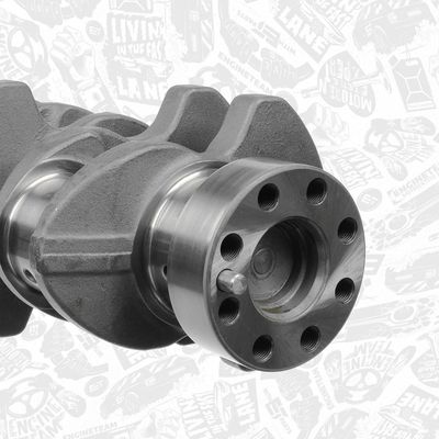 ARBORE COTIT ET ENGINETEAM HK0166 3