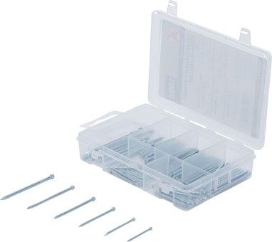 Sortiment, Sockelleisten-/Paneelstift