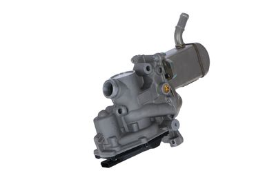 SUPAPA EGR NRF 48207 19