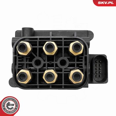 SUPAPA SISTEM SUPRAALIMENTARE ESEN SKV 97SKV315 2