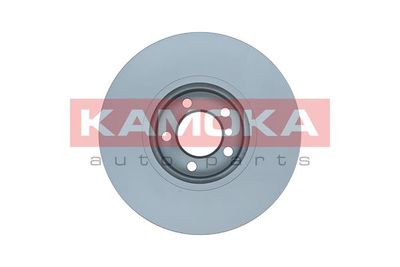 Brake Disc 103112