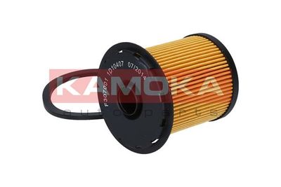 Fuel Filter F307001