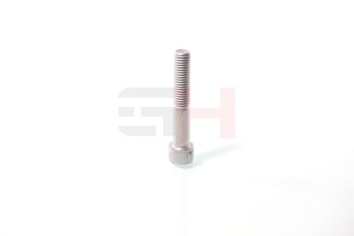 SURUB CAPAT DE AX GH GH391070 32
