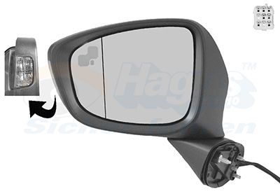 външно огледало VAN WEZEL 2780827
