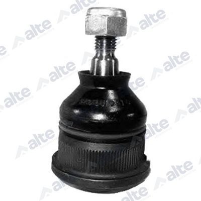 ARTICULATIE SARCINA/GHIDARE