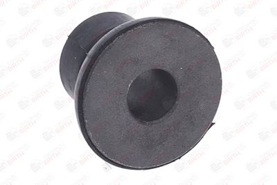 BUCSA ARBORE DE DIRECTIE BIRTH 40641 6