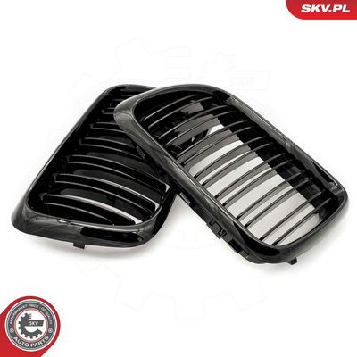 GRILA RADIATOR ESEN SKV 66SKV054 2