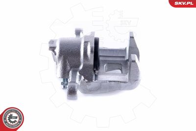 Brake Caliper 55SKV084