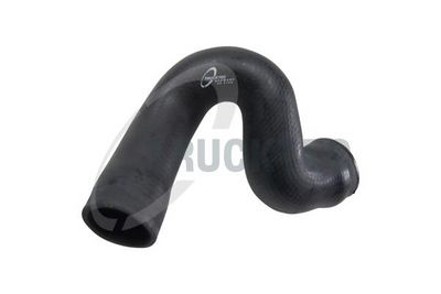 FURTUN EAR SUPRAALIMENTARE