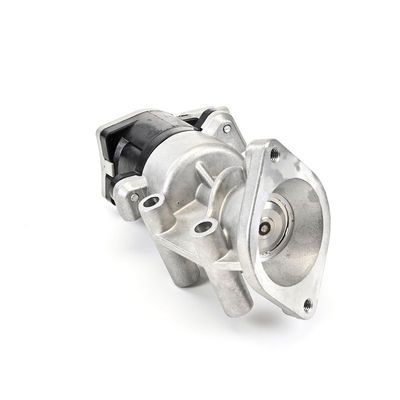 AGR-VENTIL DELPHI EG1064012B1 17