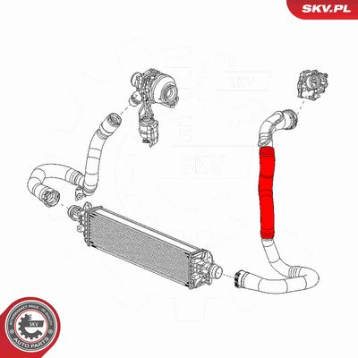 FURTUN EAR SUPRAALIMENTARE ESEN SKV 43SKV168 3