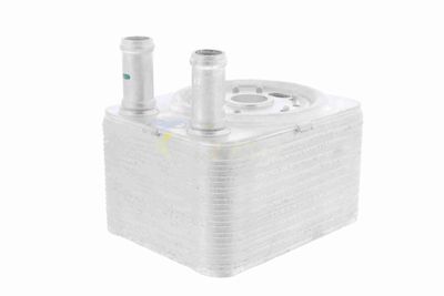 ÖLKüHLER MOTORöL VEMO V15606023 4