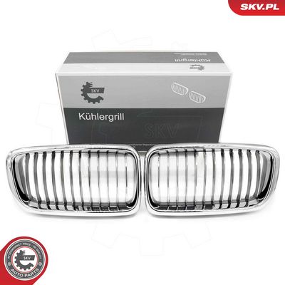 GRILA RADIATOR ESEN SKV 66SKV215 10