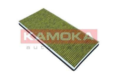 Filter, cabin air 6080058