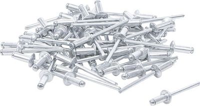 SORTIMENT BLINDNIET BGS 75848