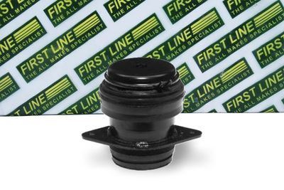 окачване, двигател FIRST LINE FEM3108
