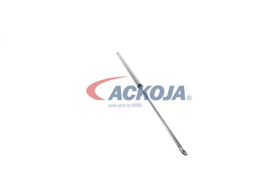 AMORTIZOR PORTBAGAJ ACKOJA A520065 24