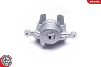 Brake Caliper 46SKV842