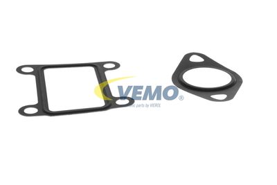 SET GARNITURA SISTEM EGR VEMO V40639014 49