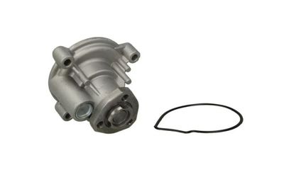 Water Pump, engine cooling D1W056TT