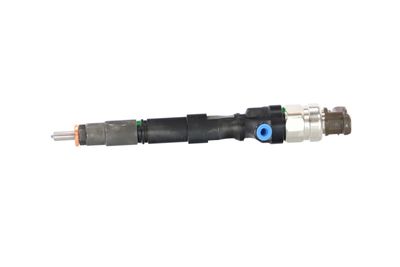 INJECTOR REMANTE 002003002073R 11