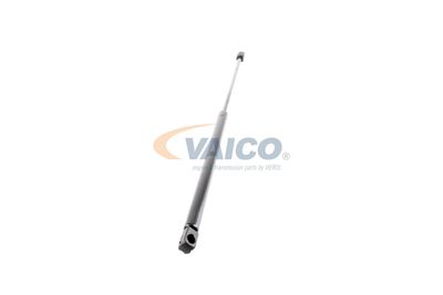 GASFEDER KOFFER-/LADERAUM VAICO V240211 50