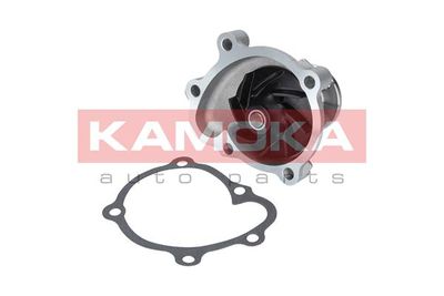 Water Pump, engine cooling T0233
