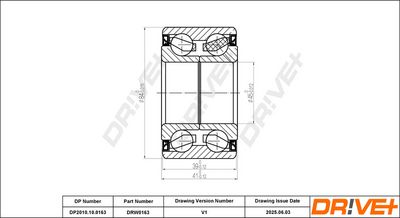 RADLAGERSATZ DR!VE+ DP2010100163 1
