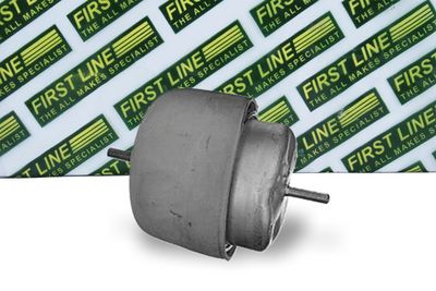 окачване, двигател FIRST LINE FEM3876