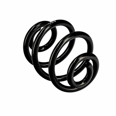 ARC SPIRAL EIBACH R10030 11