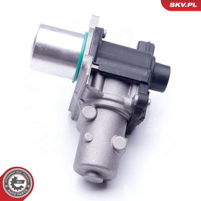 AGR - Ventil ESEN SKV 14SKV163
