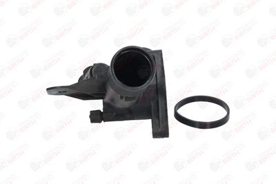 FLANSA LICHID RACIRE BIRTH 81036 4