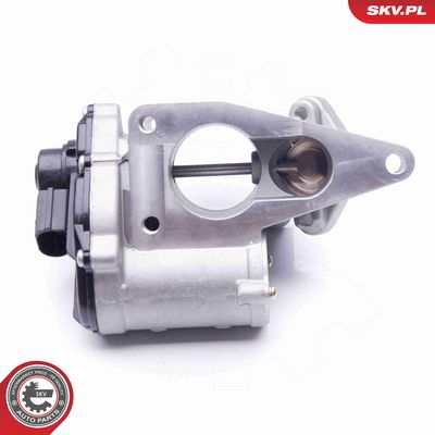 SUPAPA EGR ESEN SKV 14SKV168 4