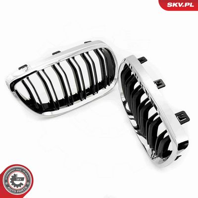GRILA RADIATOR ESEN SKV 66SKV110 3