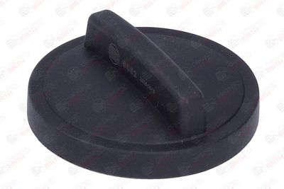 BUSON UMPLERE ULEI BIRTH 8053 9