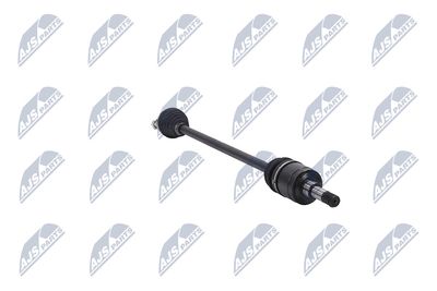 PLANETARA NTY NPWCH106 31