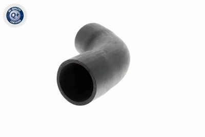 FURTUN EAR SUPRAALIMENTARE VAICO V201622 3