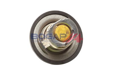 TERMOSTAT LICHID RACIRE