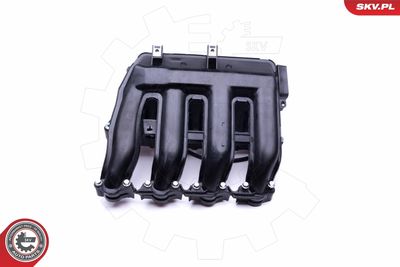 Intake Manifold Module 49SKV017